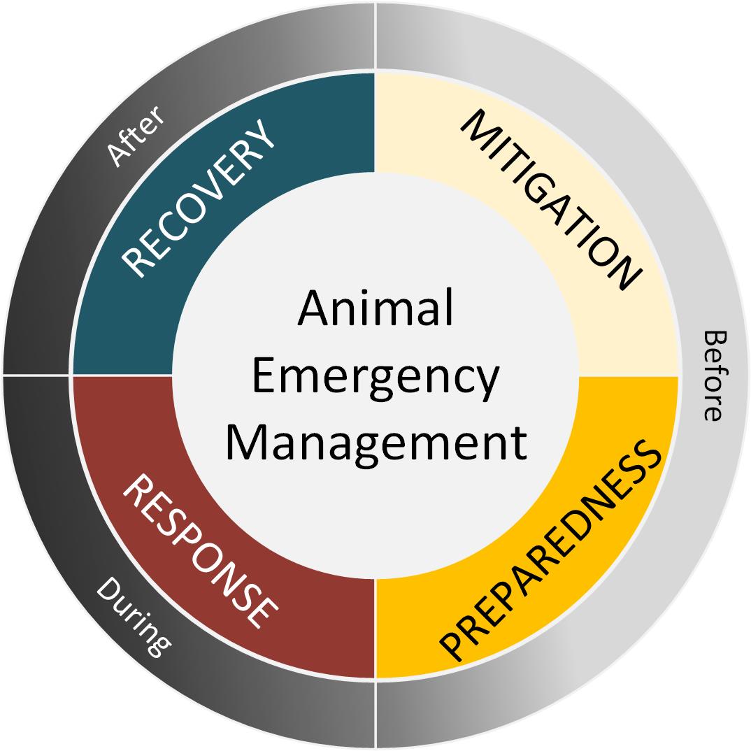 emergency management cycle diagram