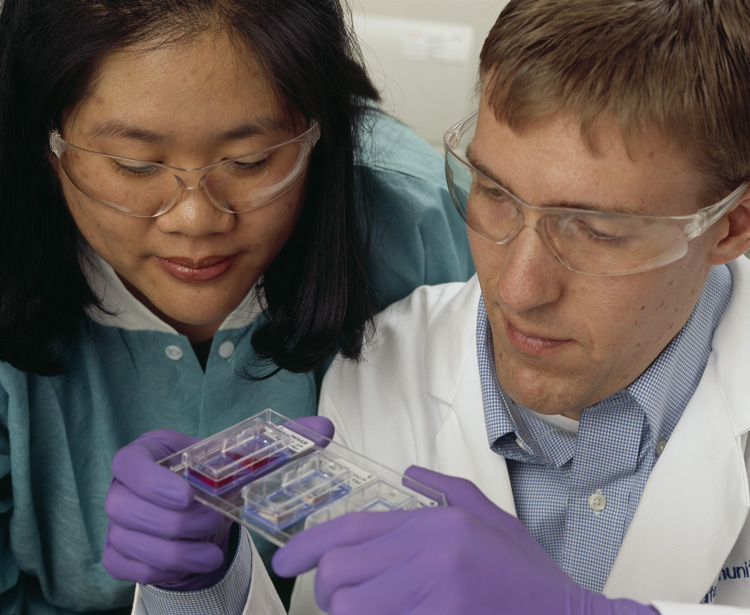 two people looking at a chamber slide model