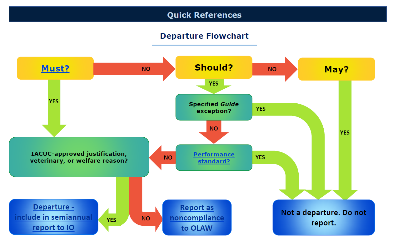 Flow chart of Departures and reporting requirements