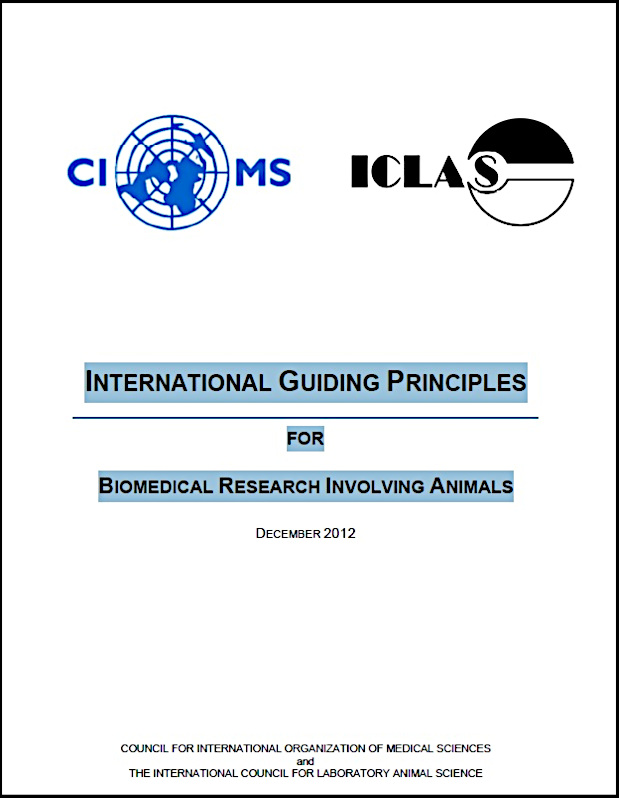 International Guiding Principles