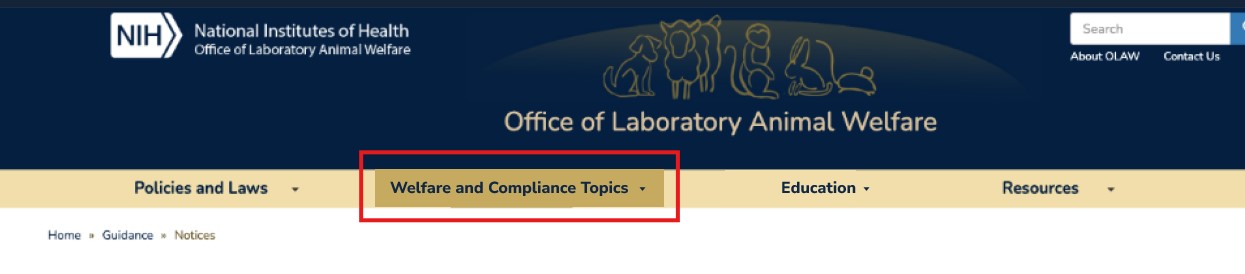 Welfare and Compliance Topics