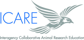 ICARE Logo